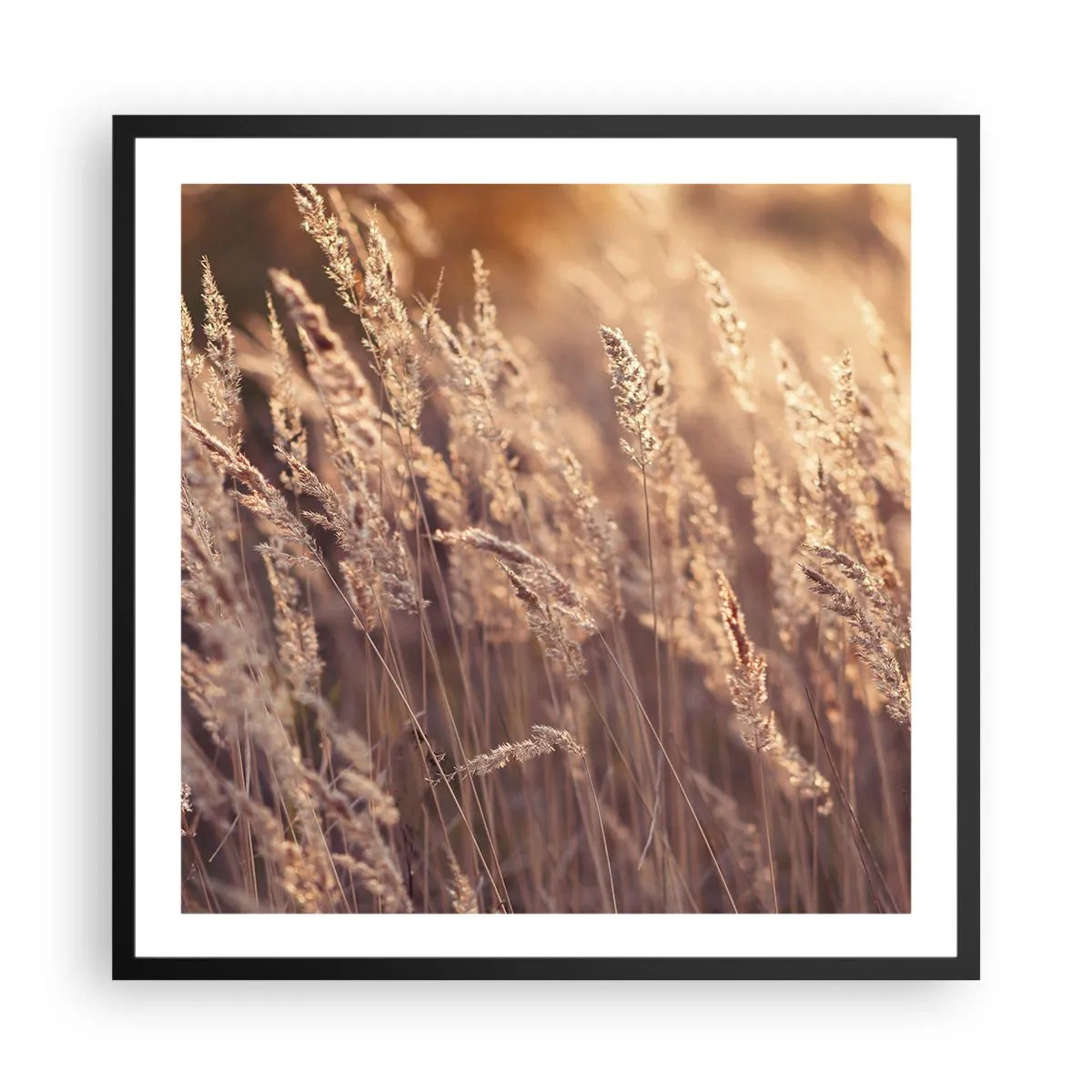 Poster în ramă neagră - Gata să întâmpine toamna - 60x60 cm