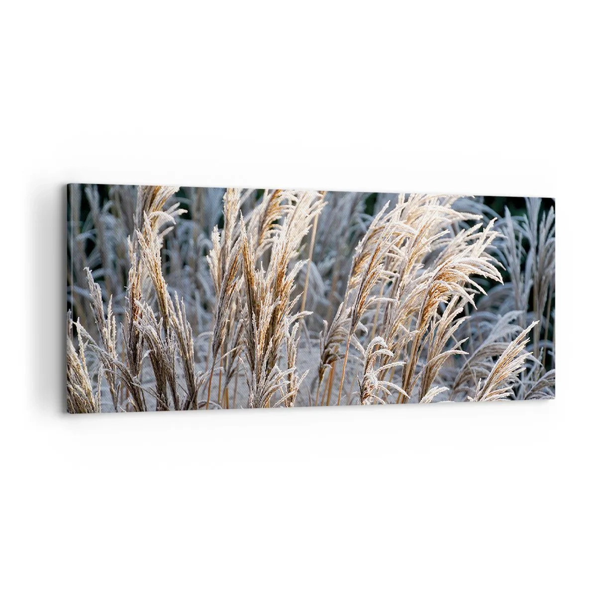Tablou pe pânză - Împodobite cu brumă - 100x40 cm