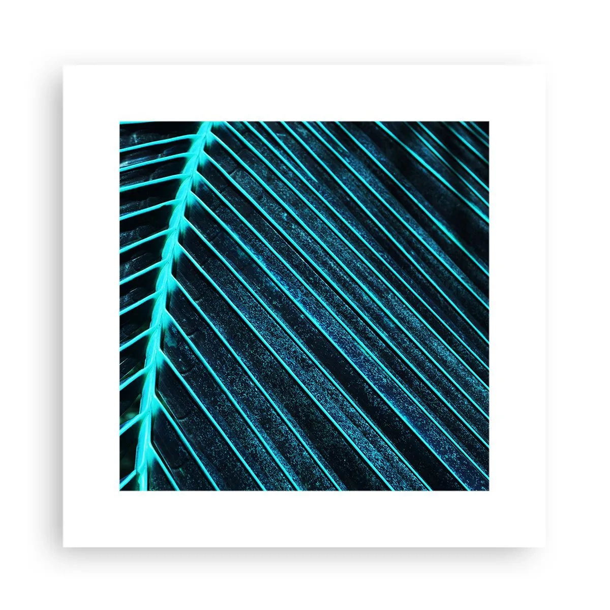 Poster - Textura verdelui - 30x30 cm