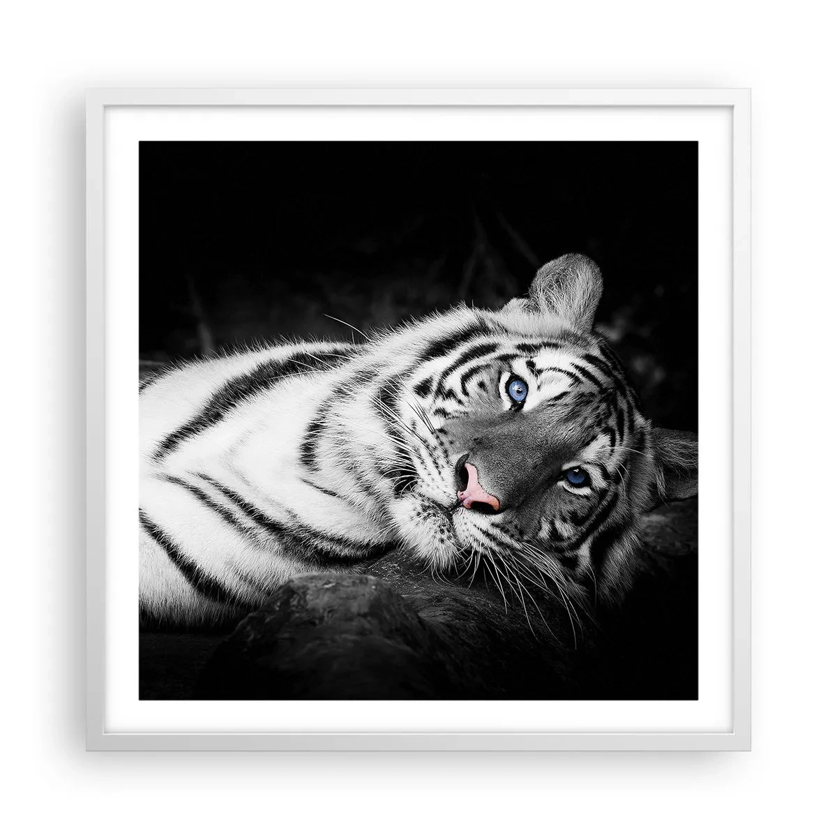 Poster în ramă albă - Sălbăticie și pace - 60x60 cm