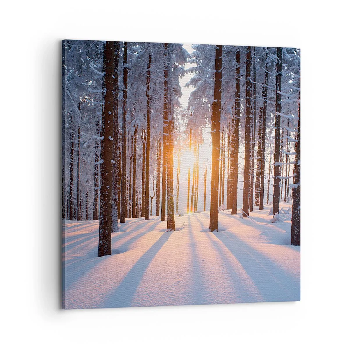 Tablou pe pânză - În mod clar în alb și negru - 60x60 cm