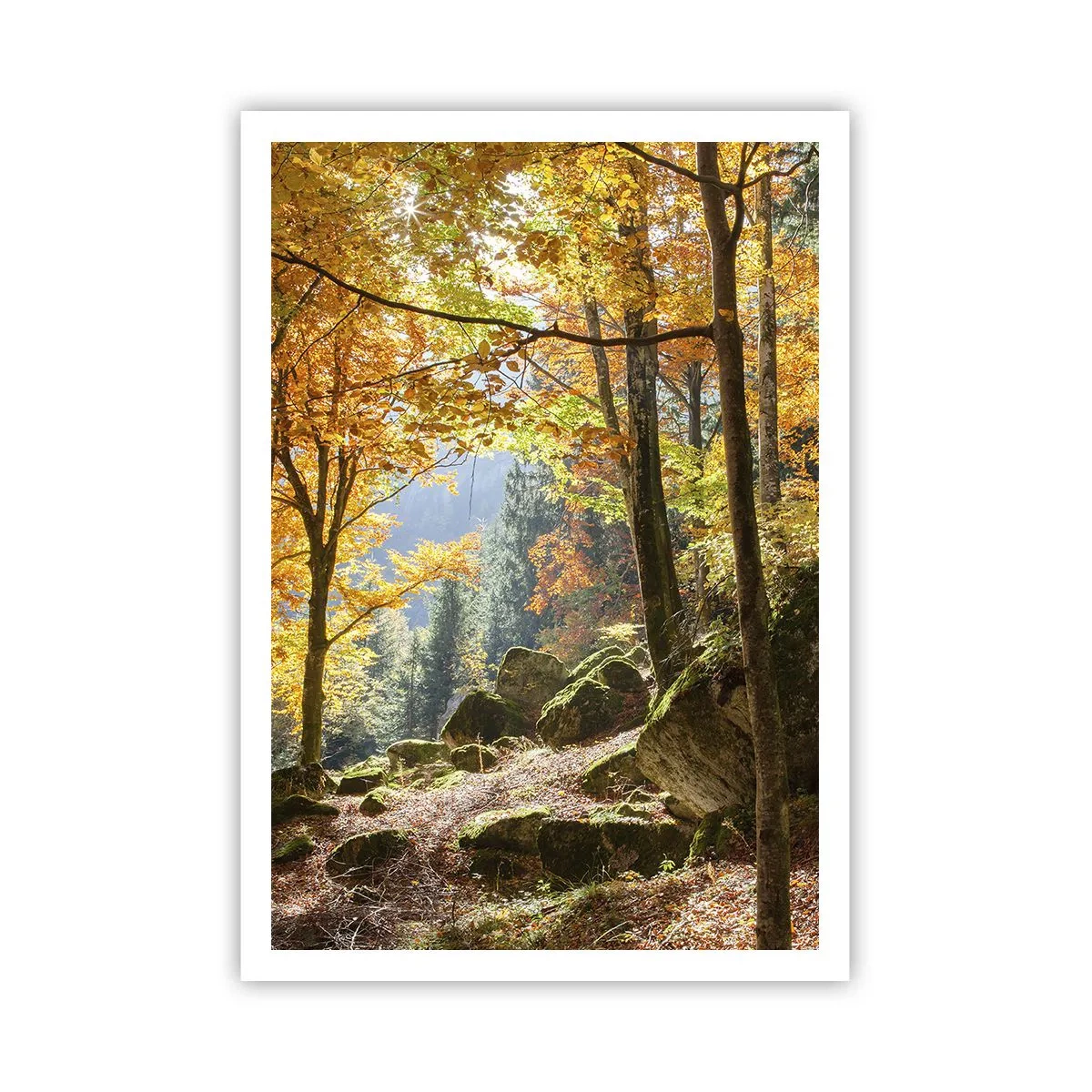 Poster - Timp de relaxare - 70x100 cm
