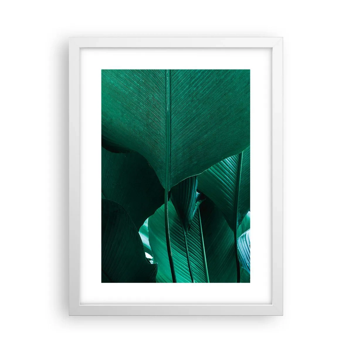 Poster în ramă albă - Cu frunza la lumină - 30x40 cm