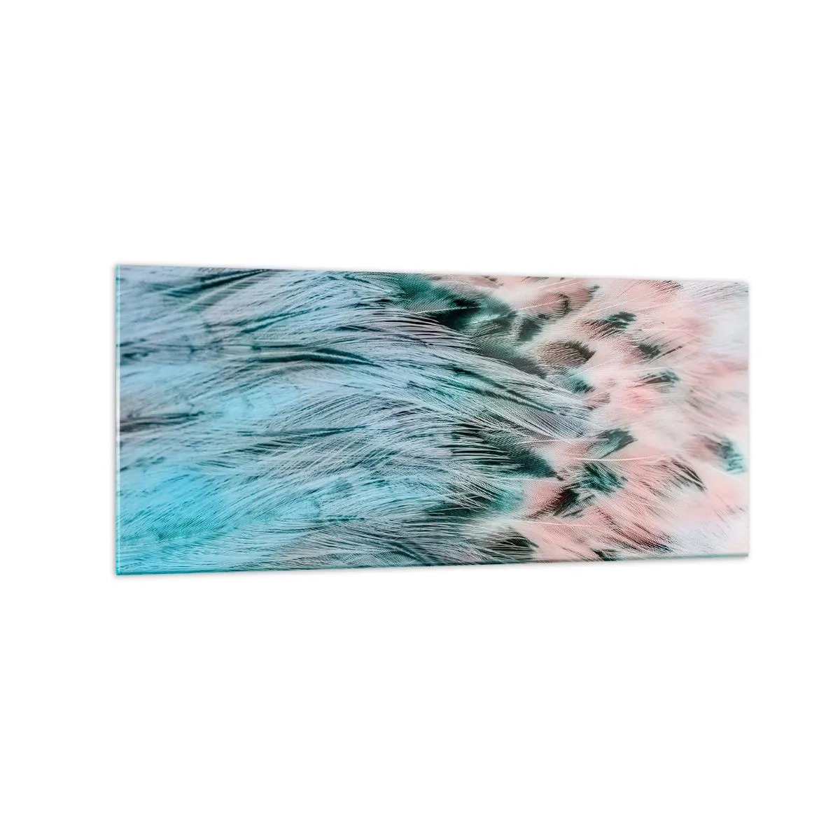 Tablou pe sticlă - Puful roz și safir - 120x50 cm