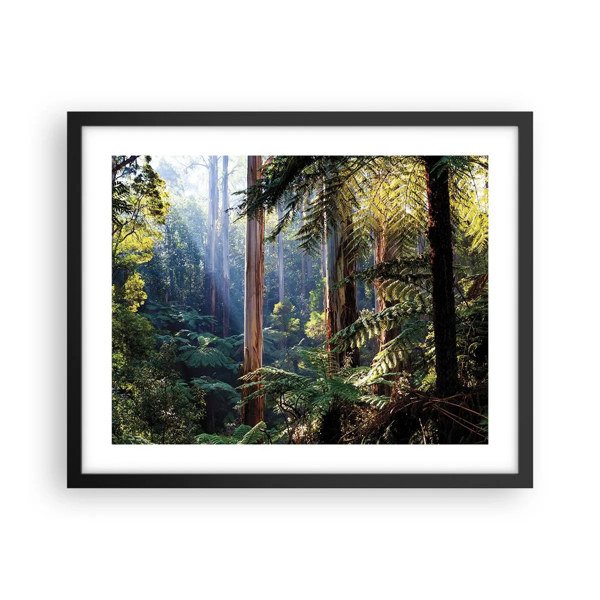 Poster în ramă neagră - O poveste din pădure - 50x40 cm