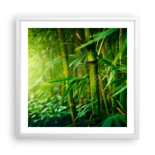 Poster în ramă albă - Cunoașteți verdeața în sine - 50x50 cm