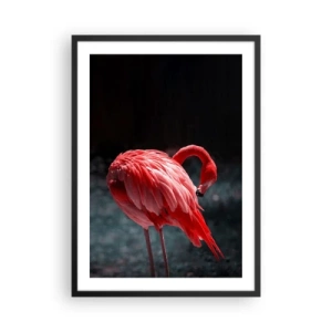 Poster în ramă neagră - Un flamingo roșu pe un fundal întunecat, subtil întors spre sine. - 50x70cm - Poemul purpuriu al naturii - Decorațiune modernă pentru perete pentru living și dormitor ARTTOR