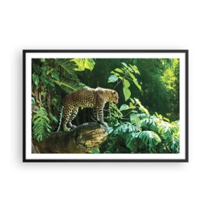 Poster în ramă neagră - La vânătoare? - 91x61 cm