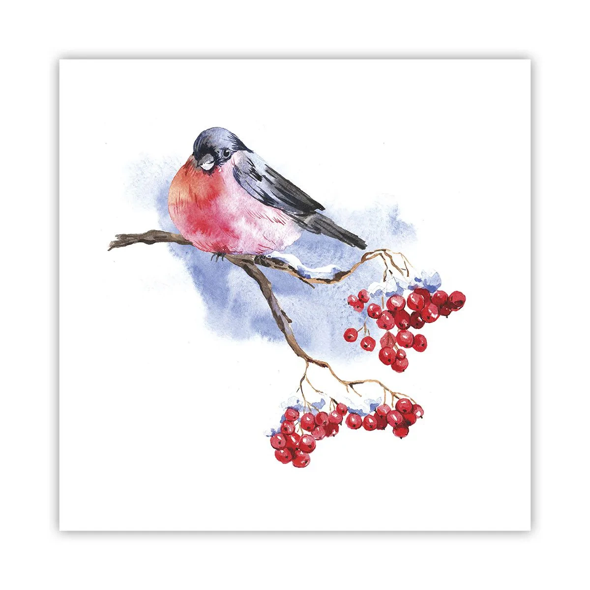 Poster - Iarna în culori - 60x60 cm