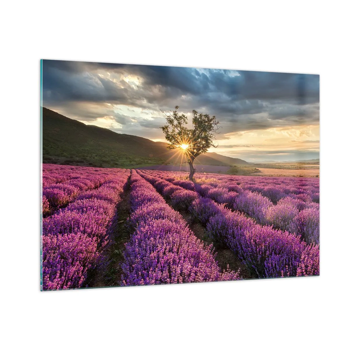 Tablou pe sticlă - Aroma în liliac - 100x70 cm