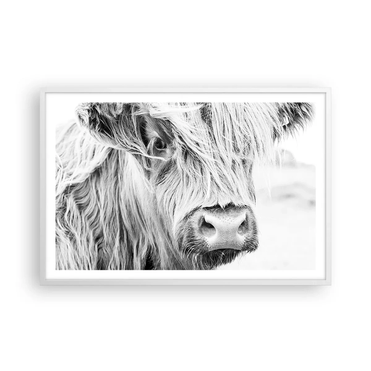 Poster în ramă albă - Sălbăticie scoțiană - 91x61 cm