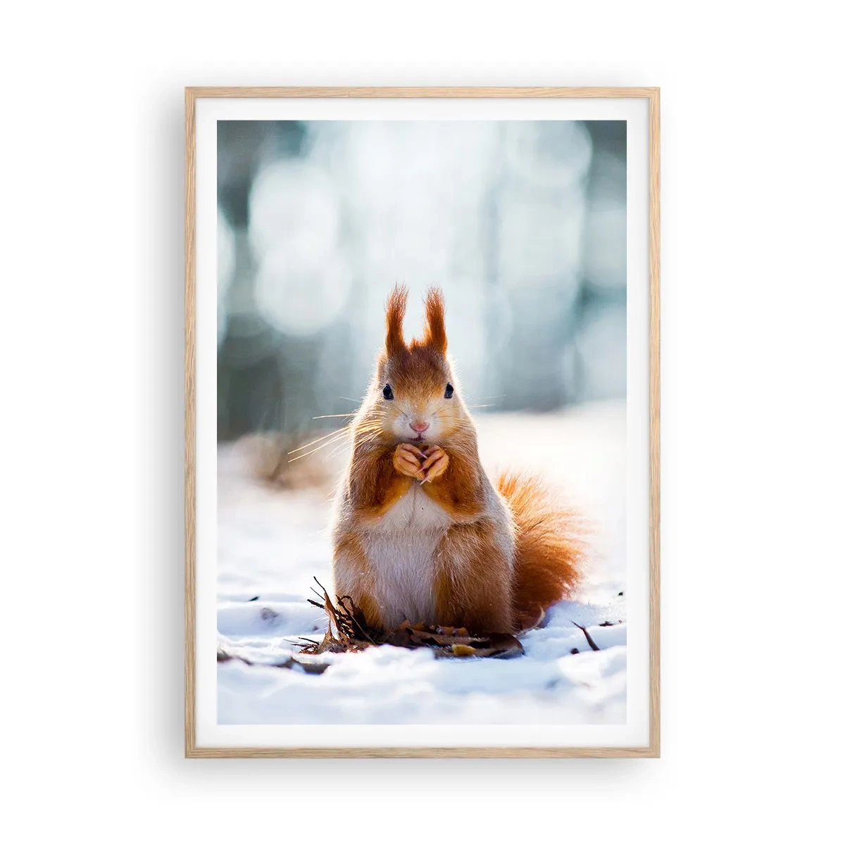 Poster în ramă de stejar deschis - Și la ce te uiți? - 70x100 cm