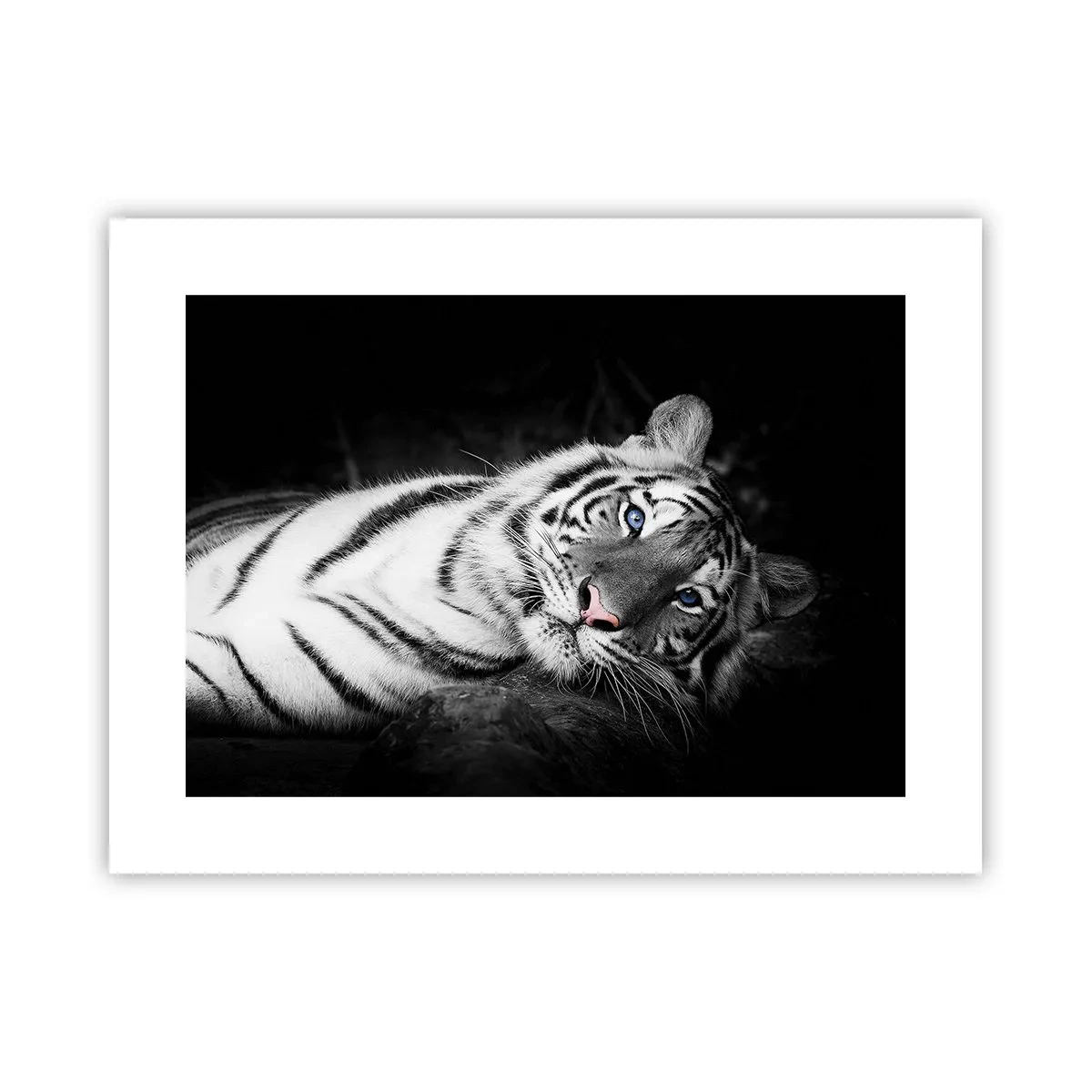 Poster - Sălbăticie și pace - 40x30 cm