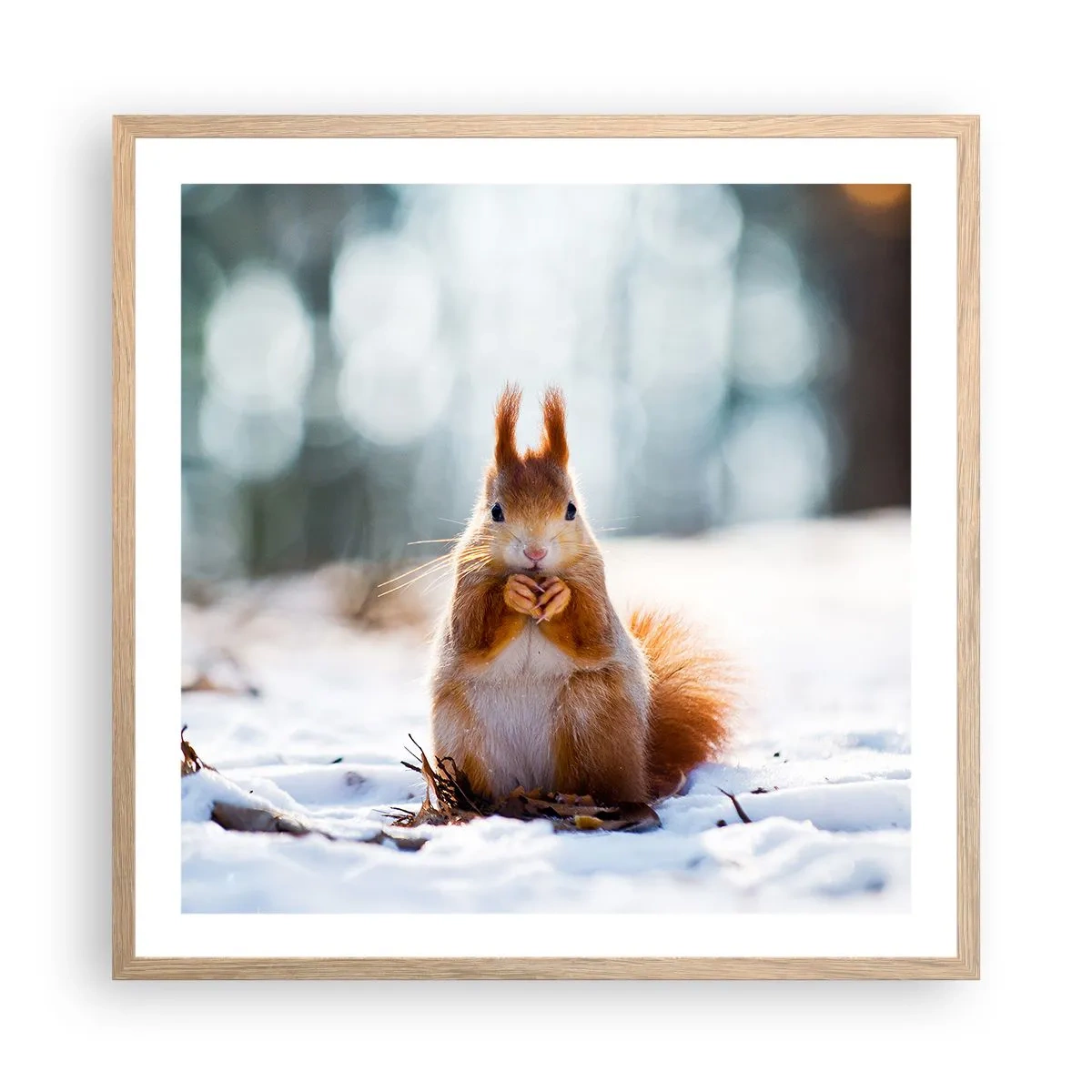 Poster în ramă de stejar deschis - Și la ce te uiți? - 60x60 cm