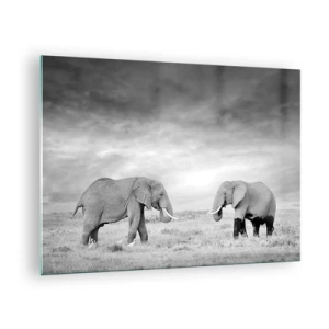 Tablou pe sticlă - Doi elefanți pe savană în nuanțe de alb și negru - 70x50cm - Griul elefantin este frumos - Decorațiune modernă pentru perete pentru living și dormitor ARTTOR
