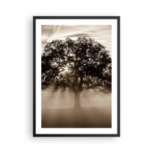 Poster în ramă neagră - Copac în ceață cu raze de lumină - 50x70cm - Un copac de vești bune - Decorațiune modernă pentru perete pentru living și dormitor ARTTOR