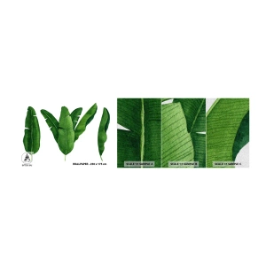 Mostră tapet Premium Sand - Simetrie verde - Frunza de banana, Tropical, Stilul botanic - 100x30 cm