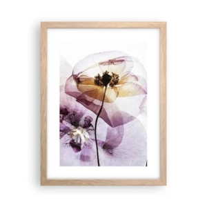 Poster în ramă de stejar deschis - Corp de flori transparente - 30x40 cm
