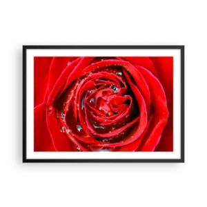 Poster în ramă neagră - În picături de rouă - 70x50 cm