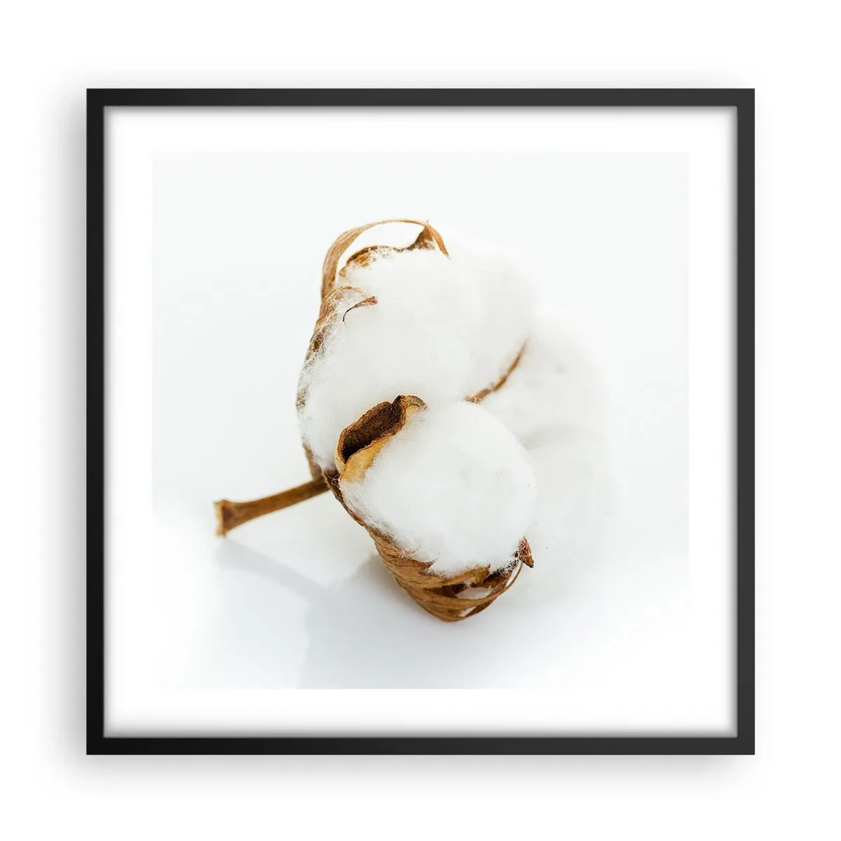 Poster în ramă neagră - Moale prin natură - 50x50 cm