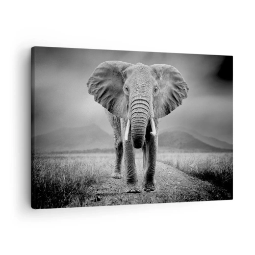 Tablou pe pânză Canvas - Un elefant puternic pe savană în tonuri monocromatice - 70x50cm - Gazda te salută - Decorațiune modernă pentru perete pentru living și dormitor ARTTOR