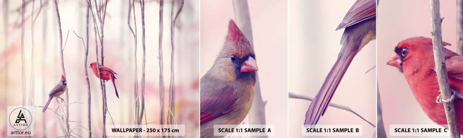 Mostră tapet autocolant Deluxe Sticker - O poveste din Pădurea Roz - Pasăre, Natură, pădure - 100x30 cm
