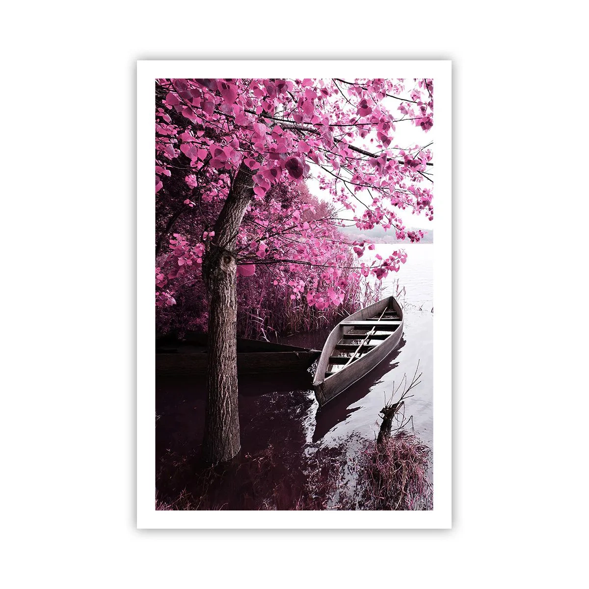 Poster - În tăcerea roz - 61x91 cm