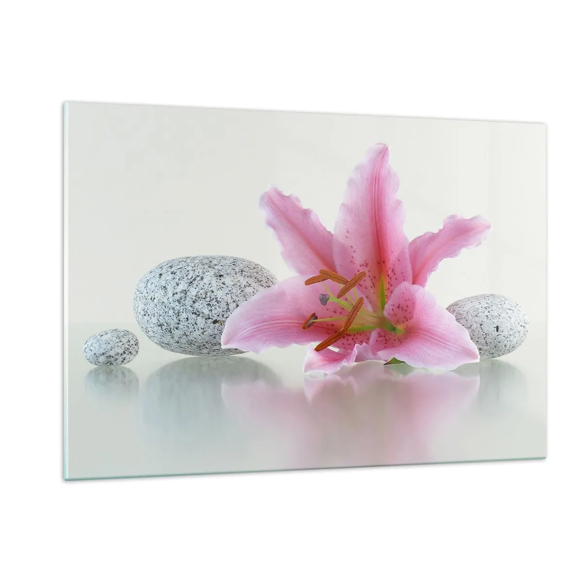 Tablou pe sticlă - Studiu în roz, gri și alb - 120x80 cm