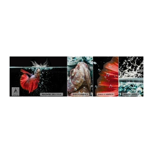 Mostră tapet Premium Sand - Aveți trei dorințe - Abstracția, Acvariu, Peşte - 100x30 cm