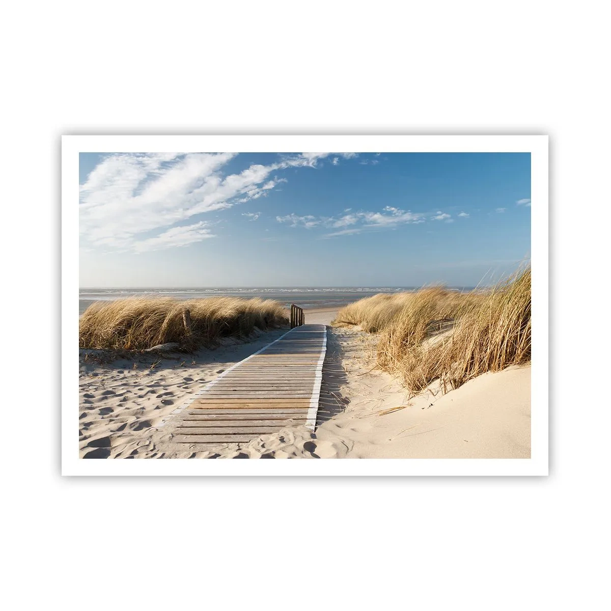 Poster - În spatele dunei, în zumzetul ierbii - 100x70 cm