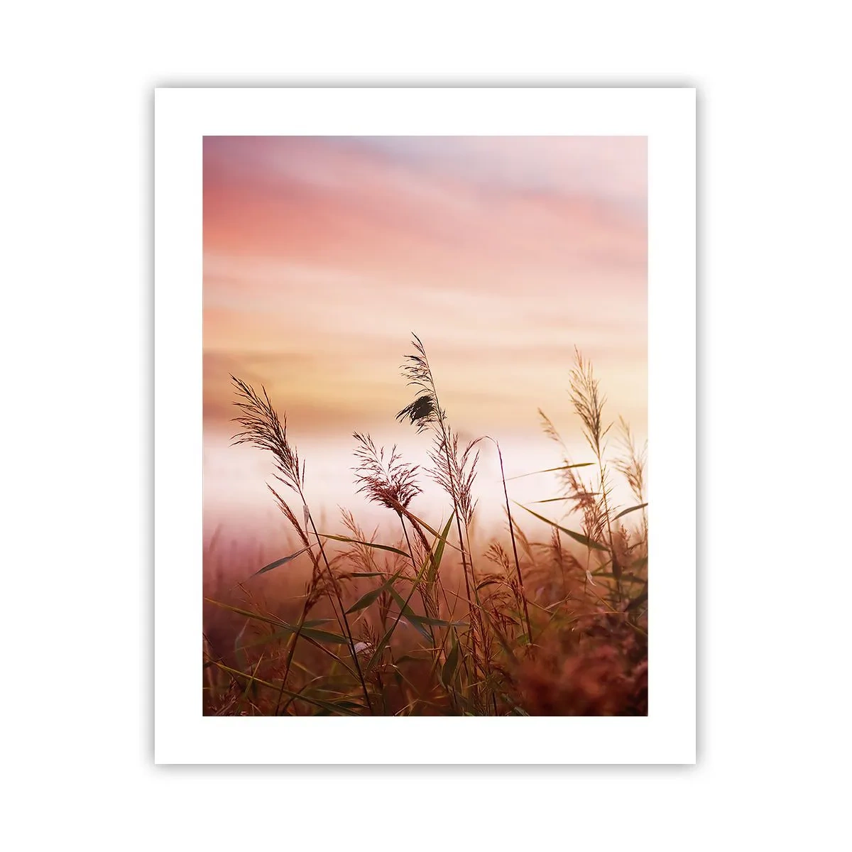 Poster - Zmeuri, suflante, vânt - 40x50 cm