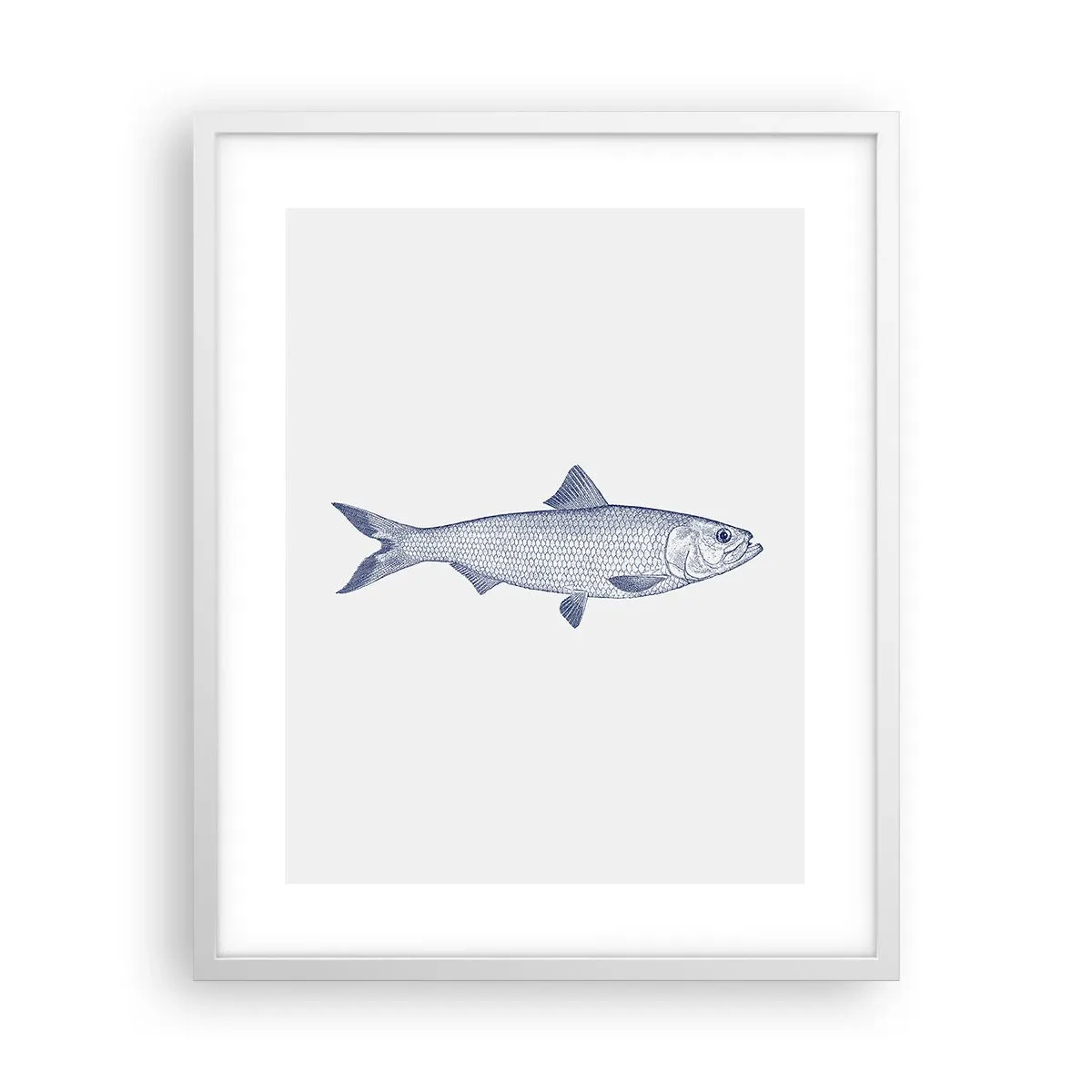 Poster în ramă albă - Salutări din mările nordice - 40x50 cm