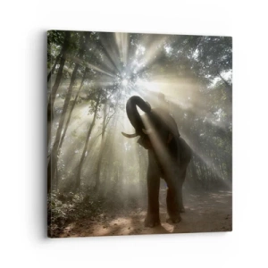 Tablou pe pânză - Sub o stea norocoasă - 30x30 cm