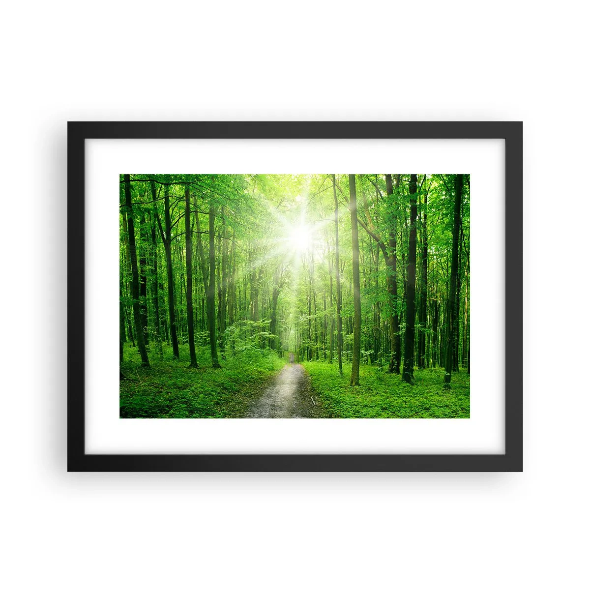 Poster în ramă neagră - Catedrala verde - 40x30 cm