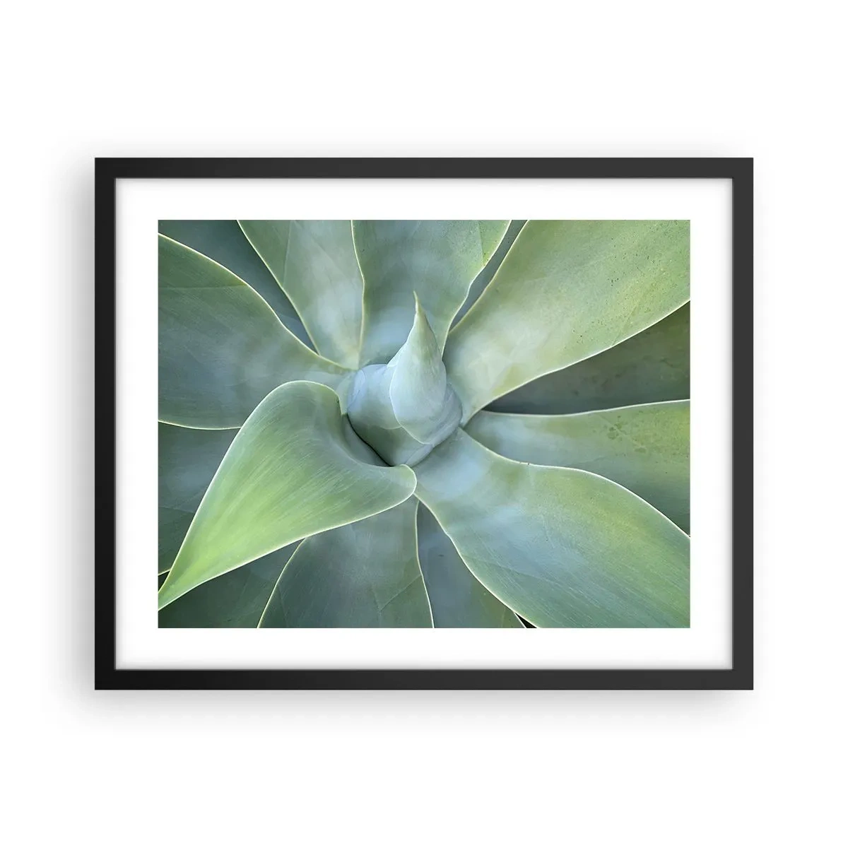 Poster în ramă neagră - Nașterea verdeții - 50x40 cm