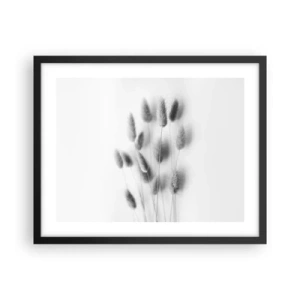Poster în ramă neagră - Pufoșenia ierbii - 50x40 cm