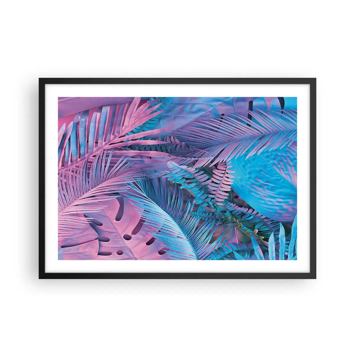 Poster în ramă neagră - Palmieri în alb și albastru - 70x50 cm