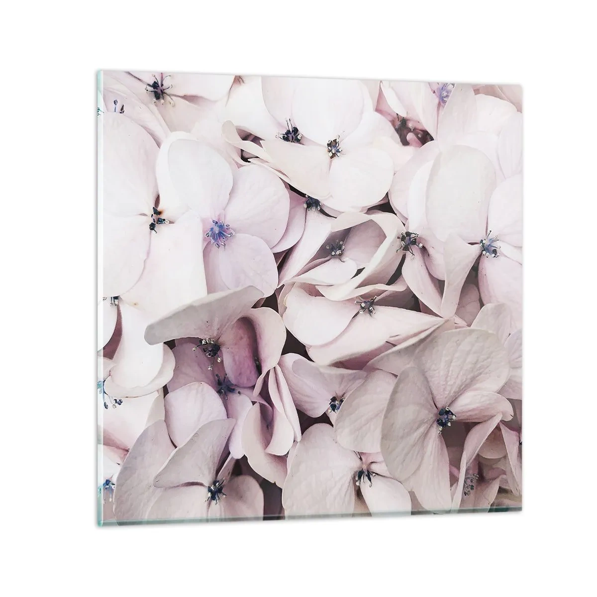 Tablou pe sticlă - Într-un potop de flori - 50x50 cm