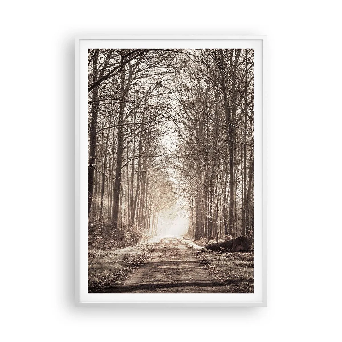 Poster în ramă albă - Catedrala Forestieră - 70x100 cm