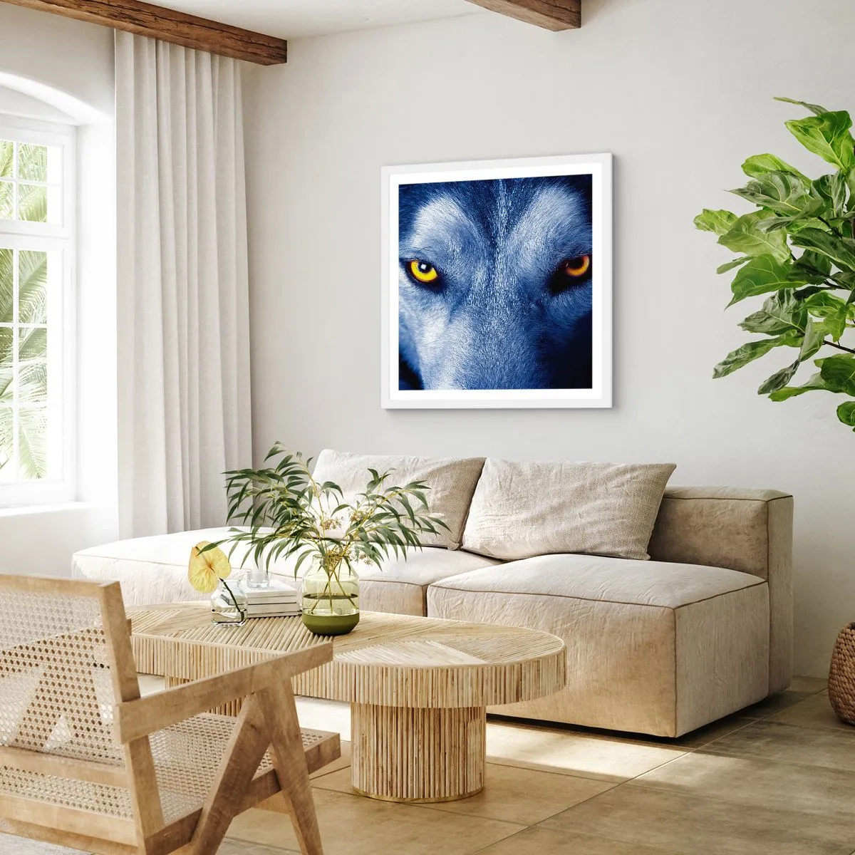 Poster în ramă albă - O privire hipnotizantă - 30x30 cm