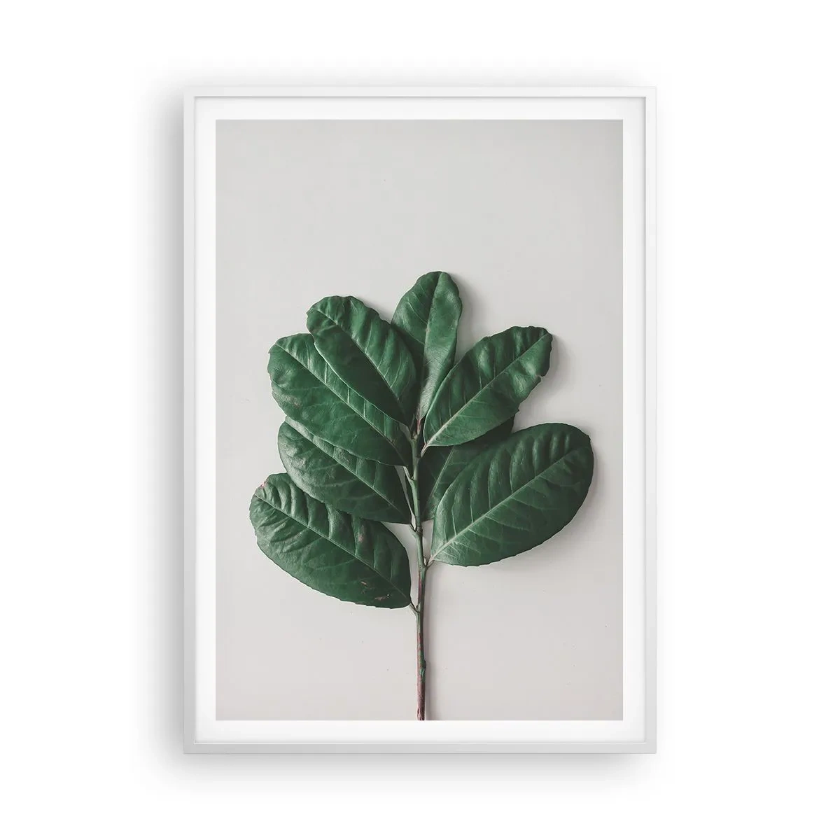 Poster în ramă albă - Desenul naturii însăși - 70x100 cm