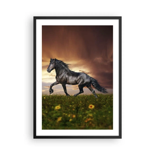 Poster în ramă neagră - Un cal negru galopează peste o pajiște în lumina soarelui care apune. - 50x70cm - Prințul negru - Decorațiune modernă pentru perete pentru living și dormitor ARTTOR