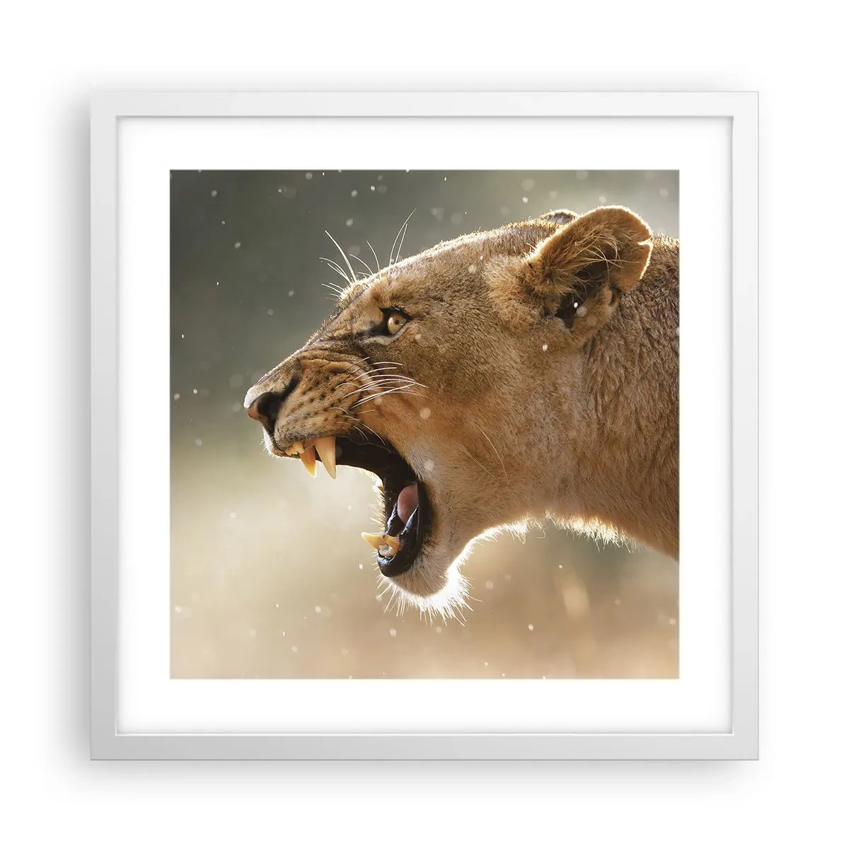 Poster în ramă albă - Încearcă să nu asculți - 40x40 cm