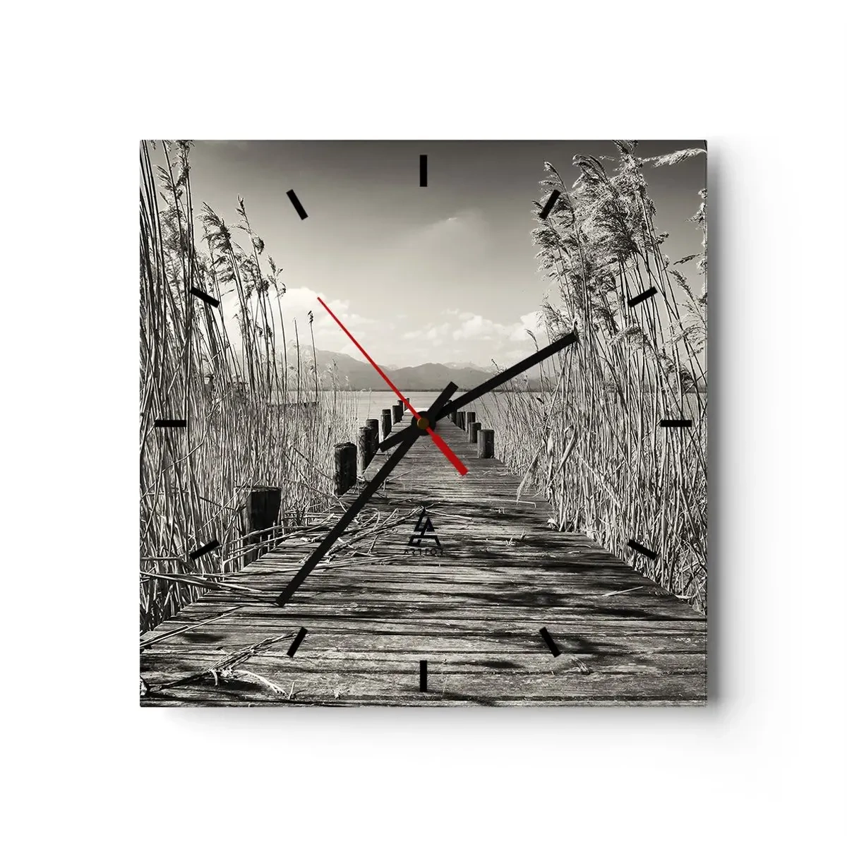 Ceas de perete - Ceas pe sticlă - În intimitatea ierburilor - 30x30 cm