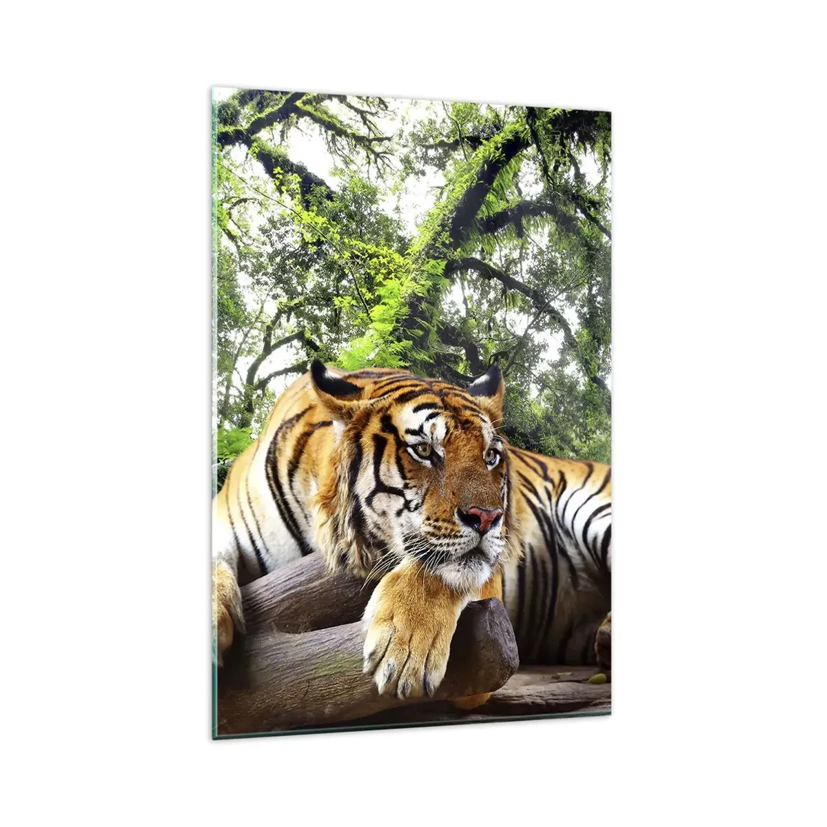 Tablou pe sticlă - Cu respect - 80x120 cm