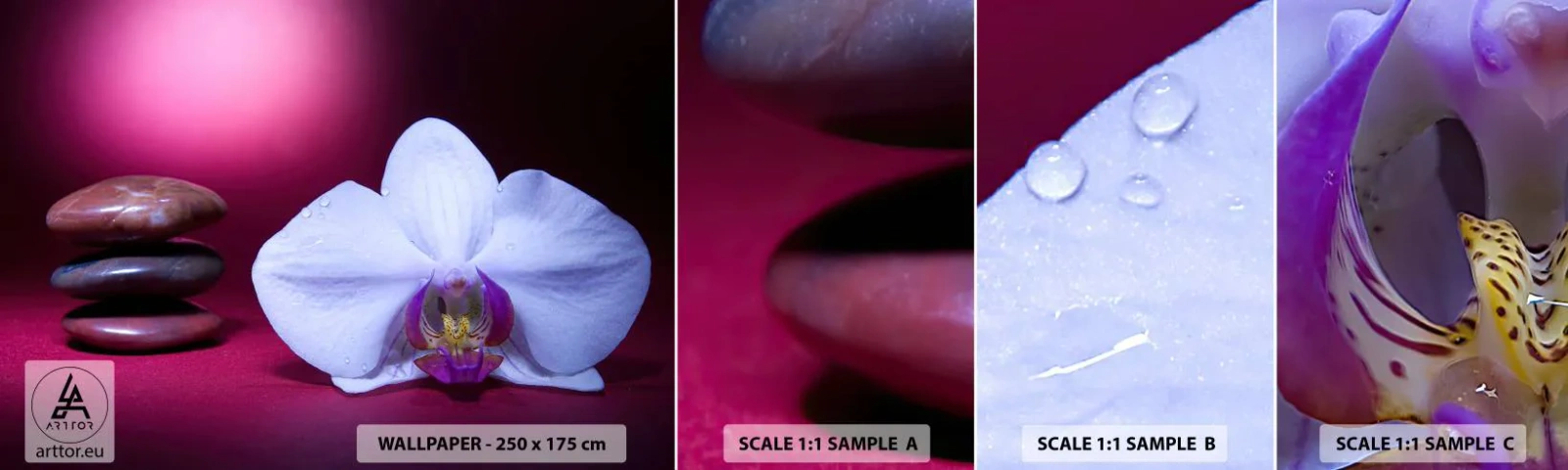 Mostră de Tapet Standard Eco - Un studiu al prospețimii în mov - Flori, spa, Pietre - 100x30 cm