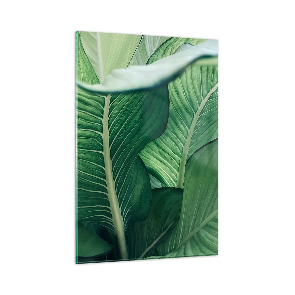 Tablou pe sticlă - Viață intensă în verde - 80x120 cm