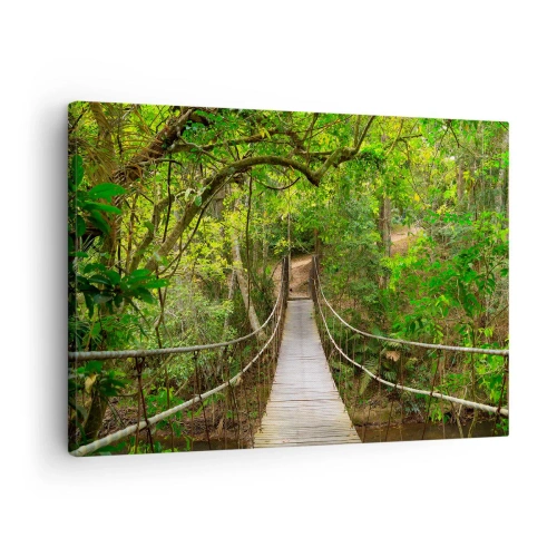 Tablou pe pânză Canvas - Un pod suspendat înconjurat de o pădure tropicală verde - 70x50cm - Pentru că în grădină crește o liană - Decorațiune modernă pentru perete pentru living și dormitor ARTTOR