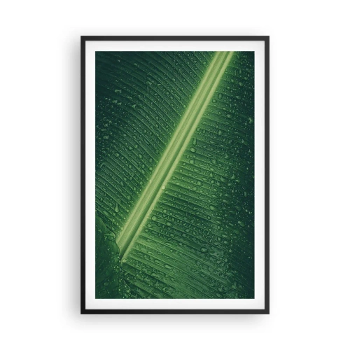 Poster în ramă neagră - Structura verdelui - 61x91 cm