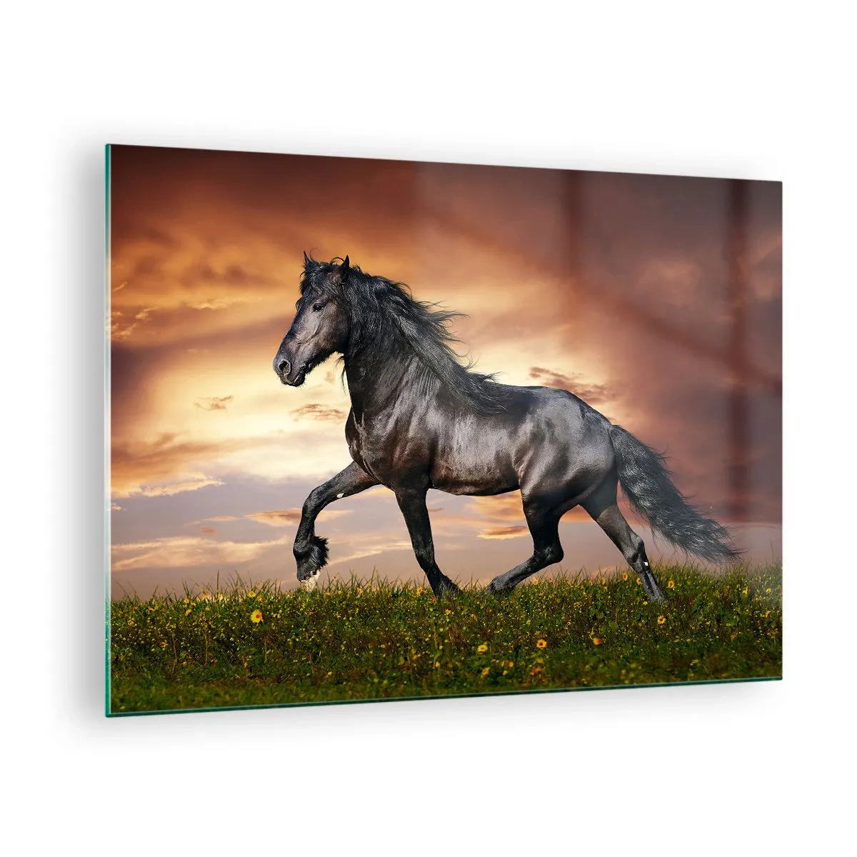 Tablou pe sticlă - Un cal negru galopând pe fondul soarelui apus - 70x50cm - Prințul negru - Decorațiune modernă pentru perete pentru living și dormitor ARTTOR